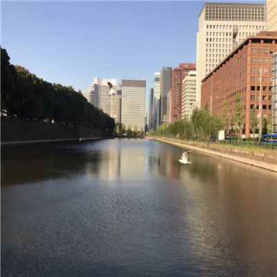 BOB博鱼·体育官网入口